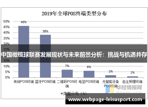 中国橄榄球联赛发展现状与未来前景分析：挑战与机遇并存