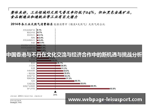 中国香港与不丹在文化交流与经济合作中的新机遇与挑战分析